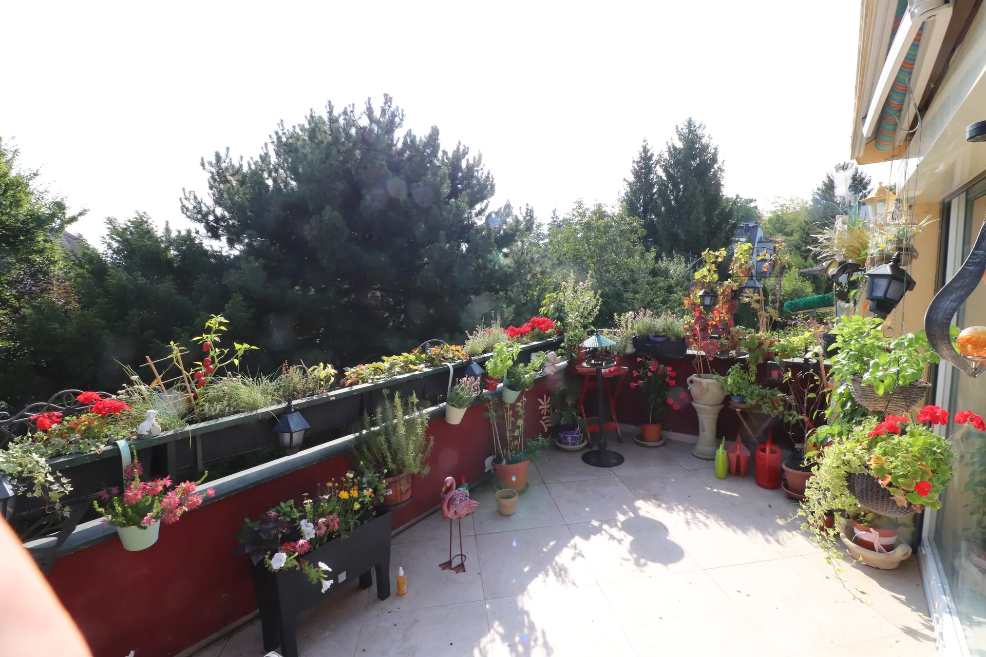 Haus Wien Terrasse blumen – Immobilienmakler Wien | IZY Immobilien Haus Wien Terrasse blumen – Immobilienmakler Wien | IZY Immobilien