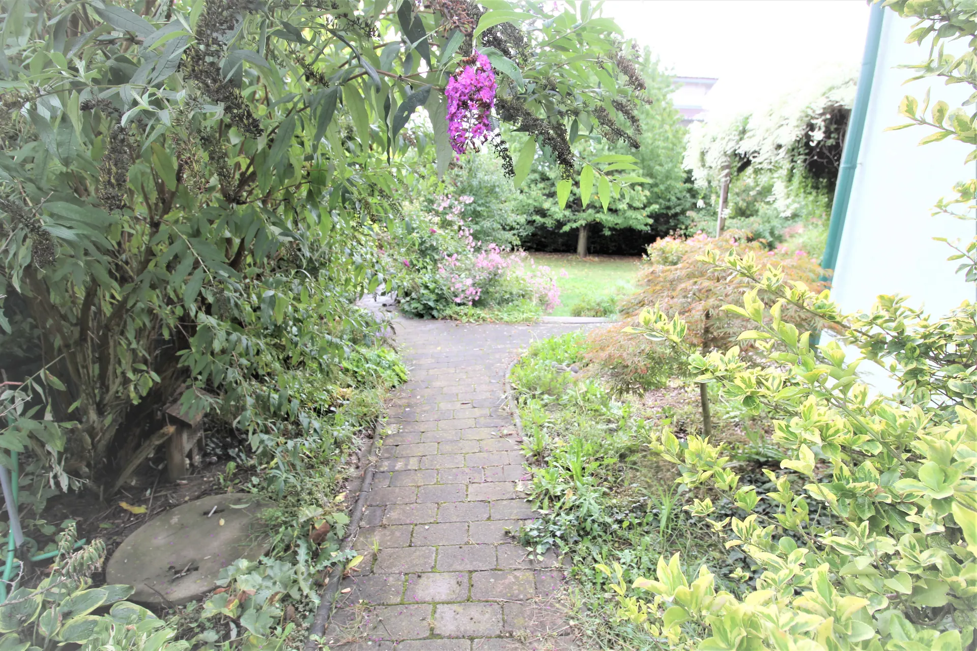 Haus Wien gartenweg pflanzen – Immobilienmakler Wien | IZY Immobilien Haus Wien gartenweg pflanzen – Immobilienmakler Wien | IZY Immobilien