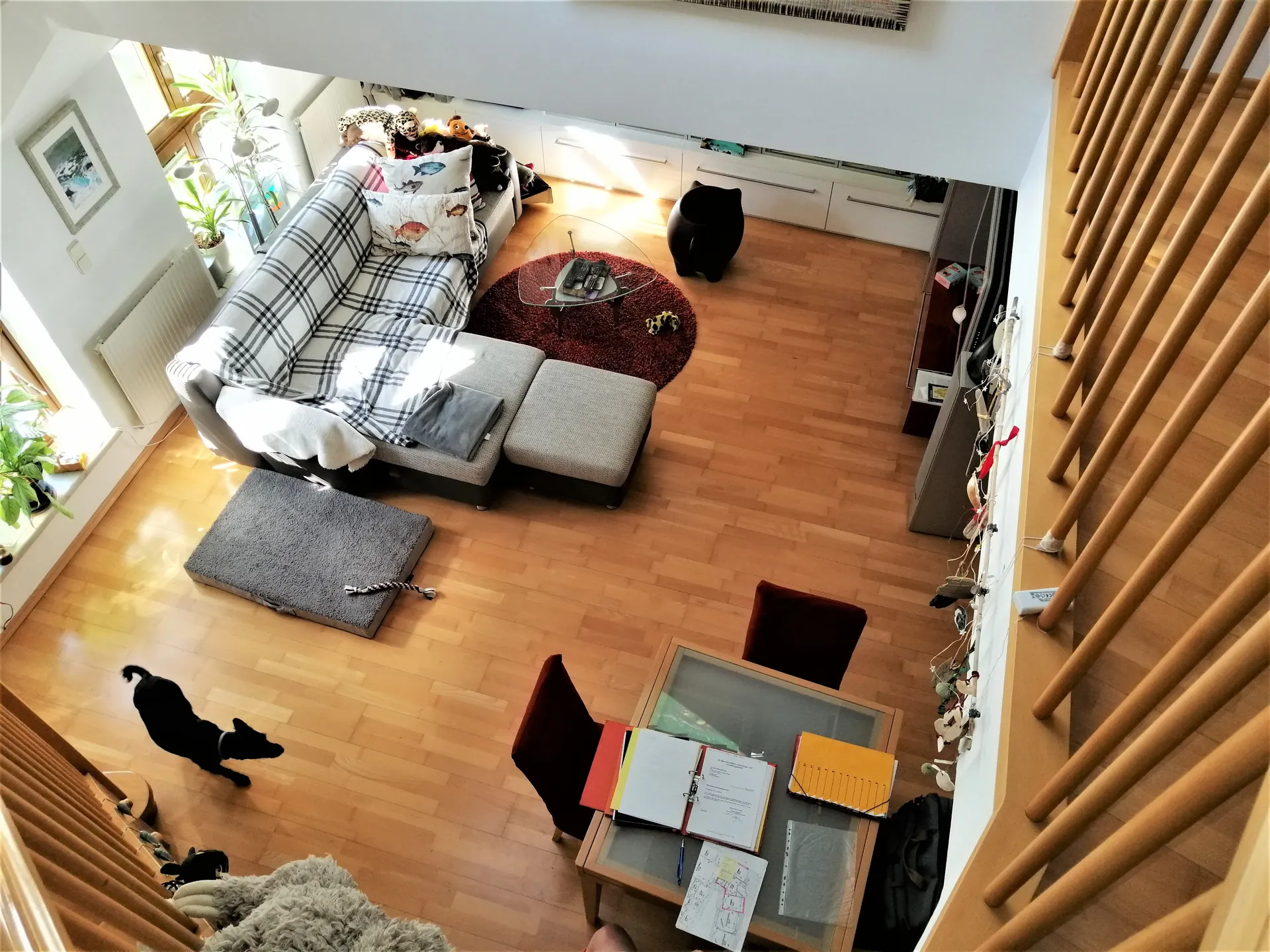 Wohnung Wien Galerie fenster – Immobilienmakler Wien | IZY Immobilien Wohnung Wien Galerie fenster – Immobilienmakler Wien | IZY Immobilien